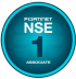 fortinet nse 1 professional